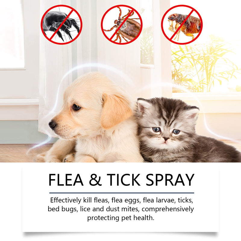 KLENIMORE™🍃Natural Flea & Tick Spray for Dogs & Cats–Helps Kill & Repel Fleas & Ticks